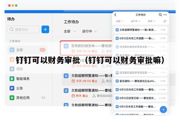 钉钉可以财务审批（钉钉可以财务审批嘛）