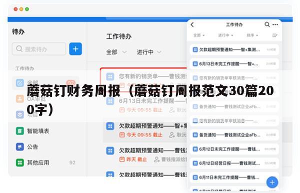 蘑菇钉财务周报（蘑菇钉周报范文30篇200字）