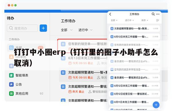 钉钉中小圈erp（钉钉里的圈子小助手怎么取消）