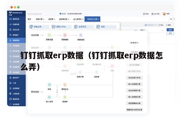 钉钉抓取erp数据（钉钉抓取erp数据怎么弄）