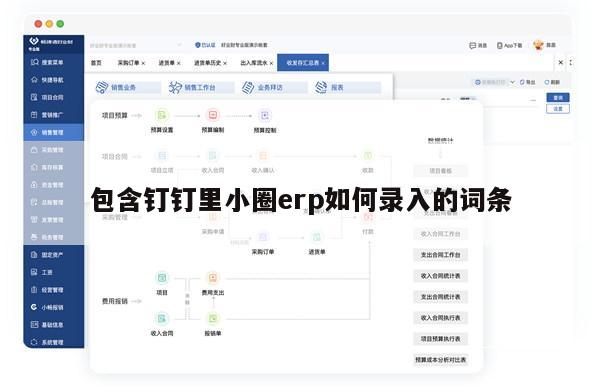 包含钉钉里小圈erp如何录入的词条