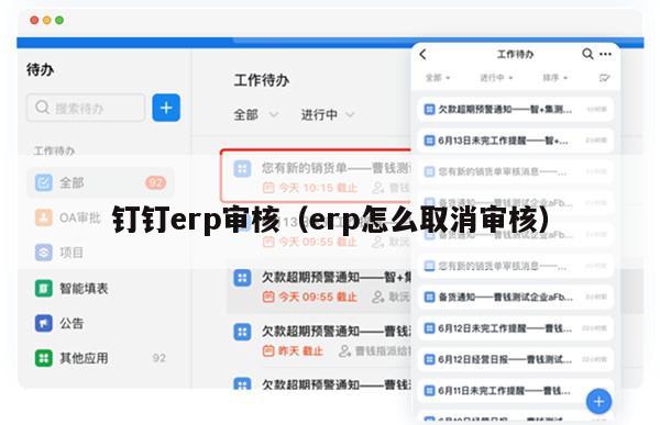 钉钉erp审核（erp怎么取消审核）