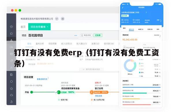 钉钉有没有免费erp（钉钉有没有免费工资条）