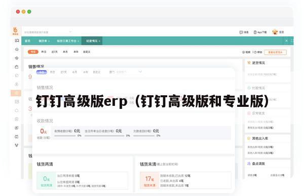 钉钉高级版erp（钉钉高级版和专业版）