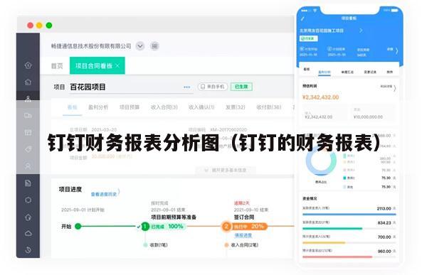 钉钉财务报表分析图（钉钉的财务报表）