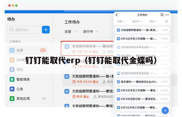 钉钉能取代erp（钉钉能取代金蝶吗）