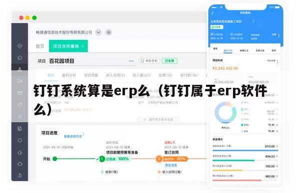 钉钉系统算是erp么（钉钉属于erp软件么）