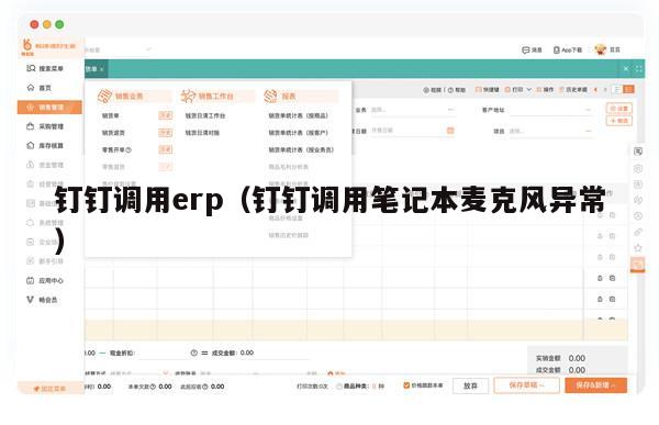 钉钉调用erp（钉钉调用笔记本麦克风异常）