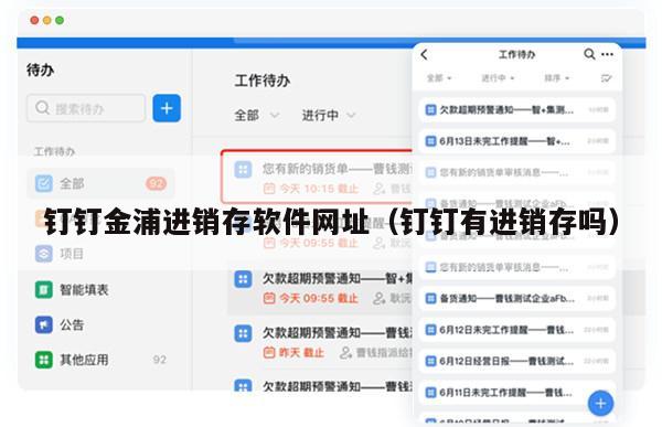 钉钉金浦进销存软件网址（钉钉有进销存吗）