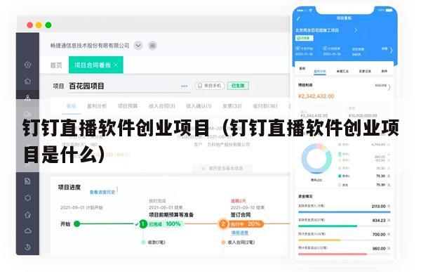 钉钉直播软件创业项目（钉钉直播软件创业项目是什么）