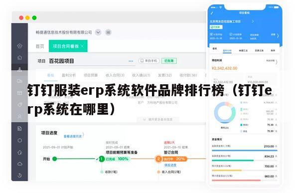钉钉服装erp系统软件品牌排行榜（钉钉erp系统在哪里）
