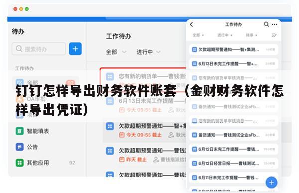 钉钉怎样导出财务软件账套（金财财务软件怎样导出凭证）