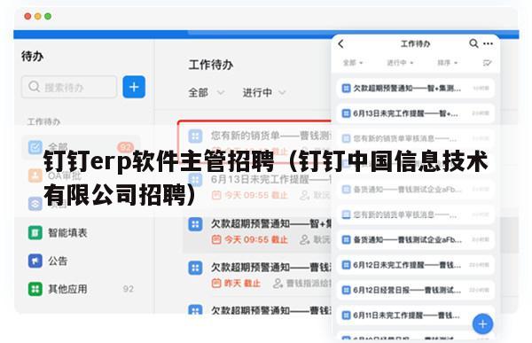 钉钉erp软件主管招聘（钉钉中国信息技术有限公司招聘）