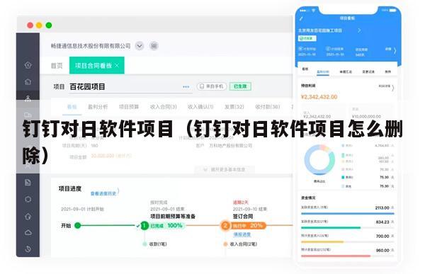 钉钉对日软件项目（钉钉对日软件项目怎么删除）
