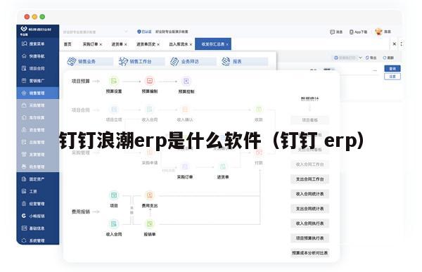 钉钉浪潮erp是什么软件（钉钉 erp）