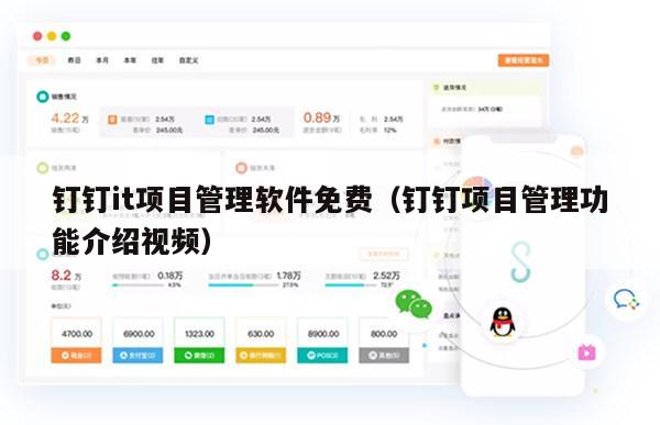 钉钉it项目管理软件免费（钉钉项目管理功能介绍视频）
