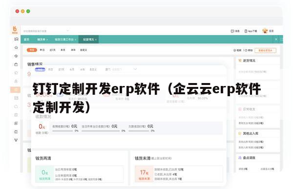 钉钉定制开发erp软件（企云云erp软件定制开发）