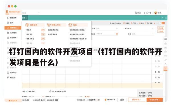 钉钉国内的软件开发项目（钉钉国内的软件开发项目是什么）