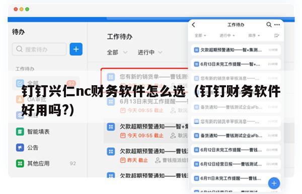 钉钉兴仁nc财务软件怎么选（钉钉财务软件好用吗?）