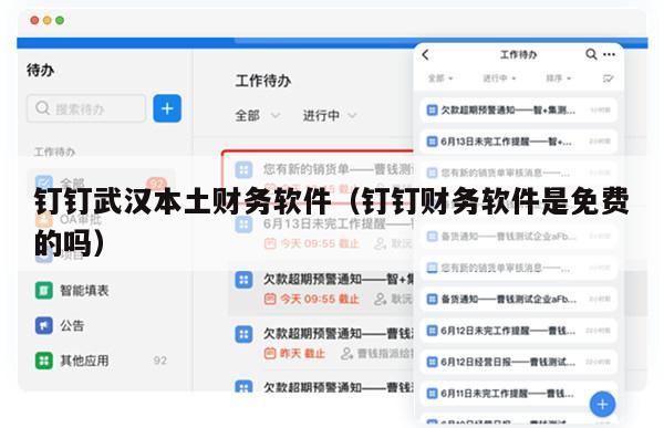 钉钉武汉本土财务软件（钉钉财务软件是免费的吗）