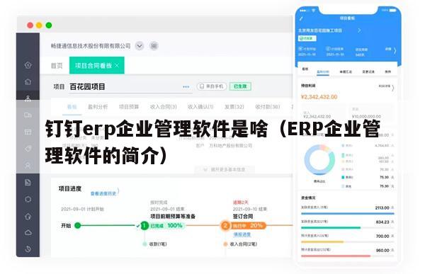 钉钉erp企业管理软件是啥（ERP企业管理软件的简介）