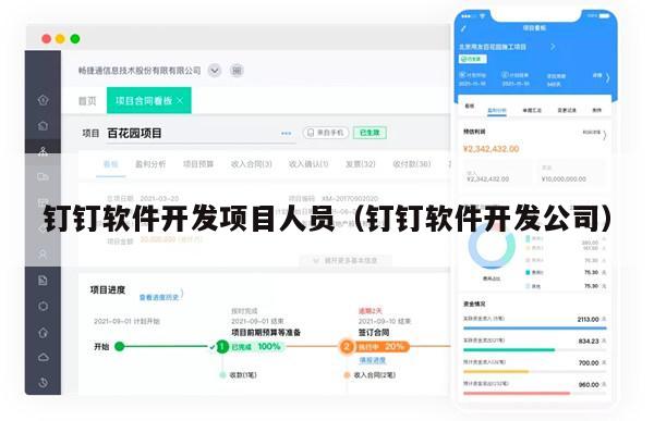 钉钉软件开发项目人员（钉钉软件开发公司）
