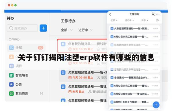 关于钉钉揭阳注塑erp软件有哪些的信息