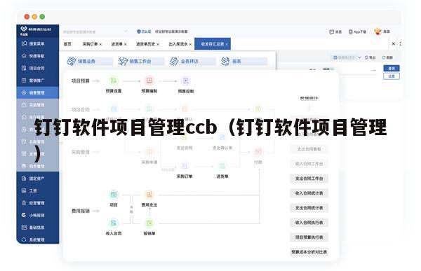 钉钉软件项目管理ccb（钉钉软件项目管理）