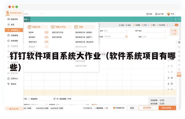 钉钉软件项目系统大作业（软件系统项目有哪些）