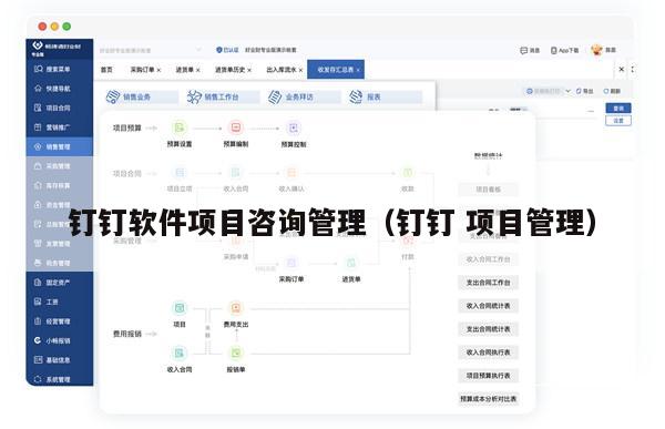 钉钉软件项目咨询管理（钉钉 项目管理）