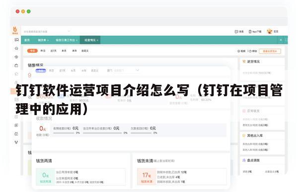 钉钉软件运营项目介绍怎么写（钉钉在项目管理中的应用）