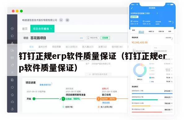 钉钉正规erp软件质量保证（钉钉正规erp软件质量保证）