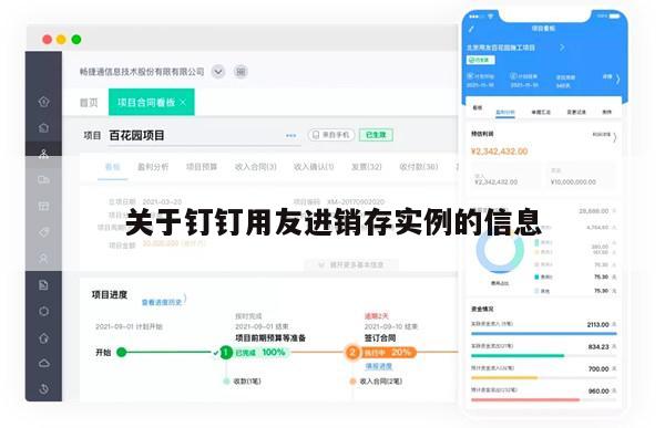 关于钉钉用友进销存实例的信息