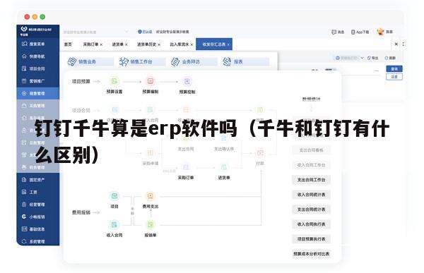 钉钉千牛算是erp软件吗（千牛和钉钉有什么区别）
