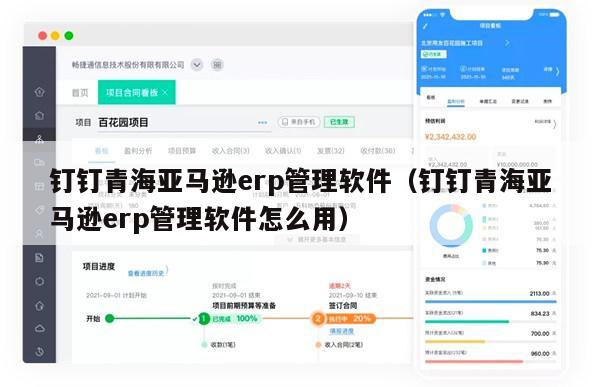 钉钉青海亚马逊erp管理软件（钉钉青海亚马逊erp管理软件怎么用）