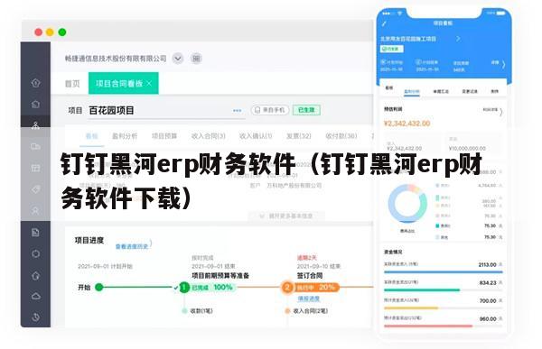 钉钉黑河erp财务软件（钉钉黑河erp财务软件下载）