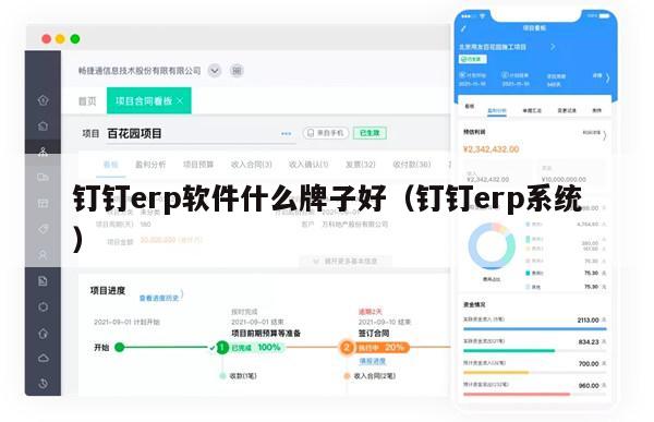 钉钉erp软件什么牌子好（钉钉erp系统）