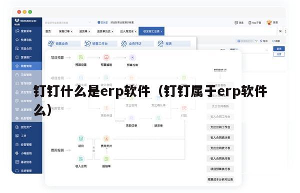 钉钉什么是erp软件（钉钉属于erp软件么）