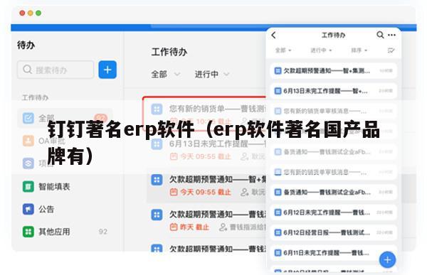 钉钉著名erp软件（erp软件著名国产品牌有）