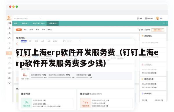 钉钉上海erp软件开发服务费（钉钉上海erp软件开发服务费多少钱）