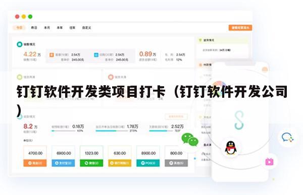钉钉软件开发类项目打卡（钉钉软件开发公司）