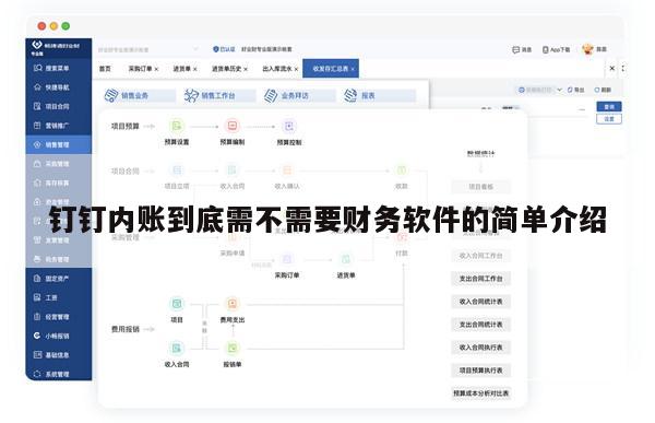 钉钉内账到底需不需要财务软件的简单介绍