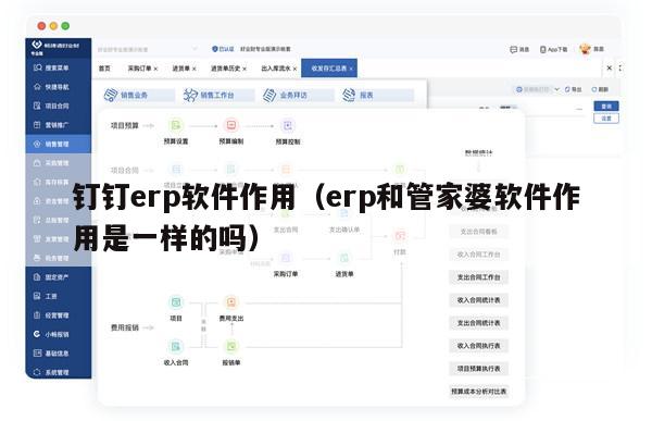 钉钉erp软件作用（erp和管家婆软件作用是一样的吗）