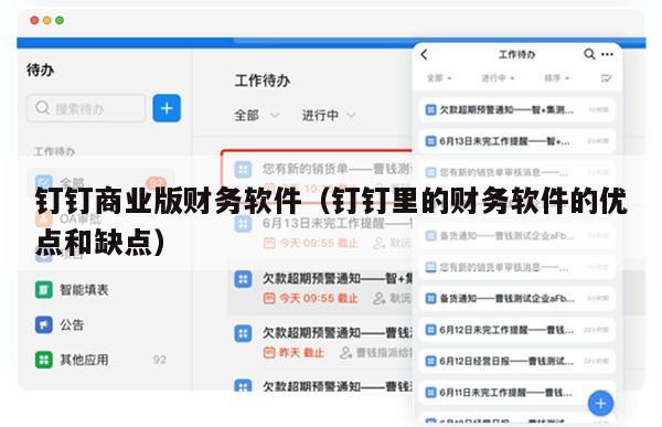钉钉商业版财务软件（钉钉里的财务软件的优点和缺点）