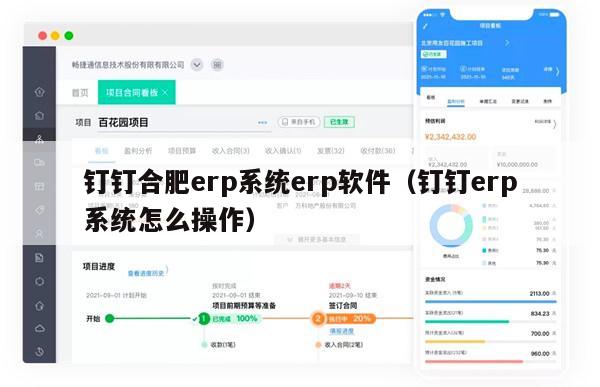 钉钉合肥erp系统erp软件（钉钉erp系统怎么操作）