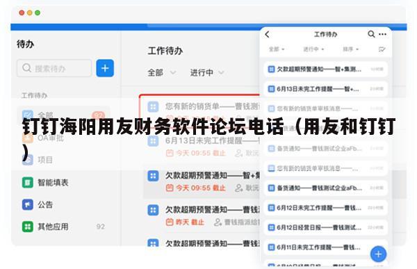 钉钉海阳用友财务软件论坛电话（用友和钉钉）