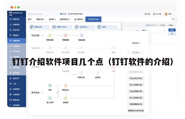钉钉介绍软件项目几个点（钉钉软件的介绍）