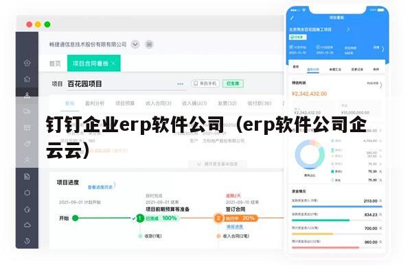 钉钉企业erp软件公司（erp软件公司企云云）