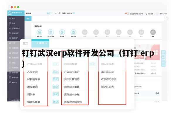 钉钉武汉erp软件开发公司（钉钉 erp）