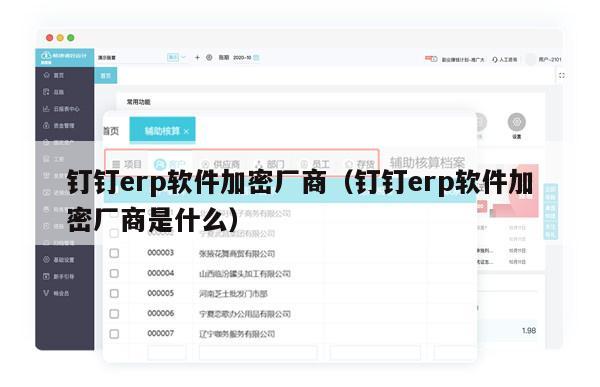 钉钉erp软件加密厂商（钉钉erp软件加密厂商是什么）